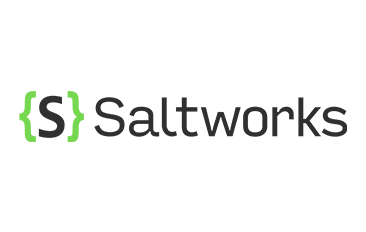 Saltworks Security color logo